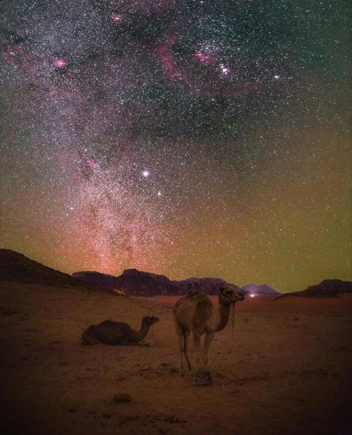 Bubble Tent & Luxury Camp Hotel Wadi Rum Exterior foto